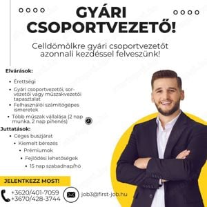 Gyári csoportvezetőt keresünk Vas vármegyébe!