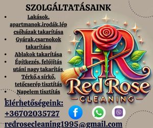 Kűll és beltéri búrkolat tisztítás! RedRoseCleaning 