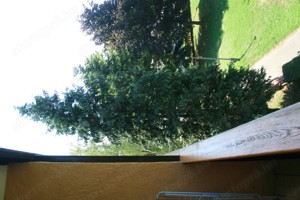 Bükfürdő 2026. júniusában 2 hetes üdülési jog 87000 forintért átadó - kép 4