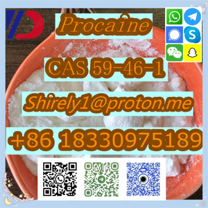 CAS 59-46-1 Procaine with high quality hot sale stock 