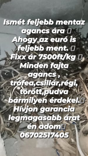 Agancs felvásárlás Magyarország egész területén 