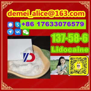  Manufacturer Supply Raw Material CAS 137-58-6 Lidocaine - kép 2