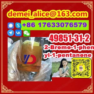  Manufacturer Supply Raw Material CAS 49851-31-2 2-Bromo-1-phenyl-1-pentanone - kép 9