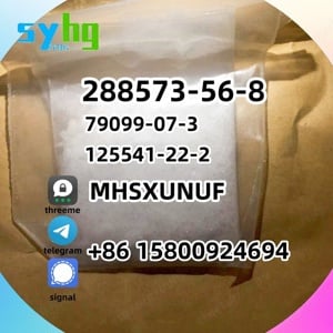 288573-56-8 piperidine g5 Europe warehouse