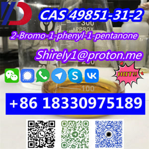 CAS 49851-31-2 2-Bromo-1-phenyl-1-pentanone - kép 15