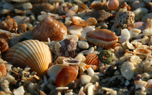 Nemzetközi kereskedelmi cég állami megbízásokkal eladó érdemes végig olvasni!