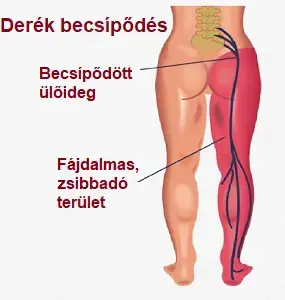 Szakember masszőz, szakszerű Egészségügyi masszázsok Hétvégén is! (Nem testiség, nem prostitúció!) - kép 4