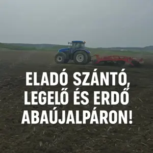 Közvetlenül a gazdától tehermentesen eladó!