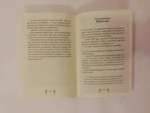 A Vermeer-rejtély + A Wright-ház titka - kép 9
