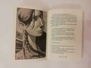 A Vermeer-rejtély + A Wright-ház titka - kép 6