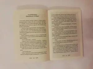 A Vermeer-rejtély + A Wright-ház titka - kép 5