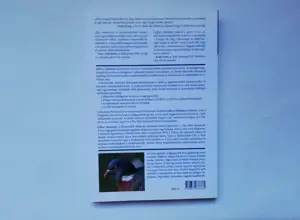 Szabványkövető webtervezés - kép 2