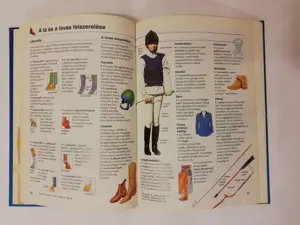 Lovak és pónik - Képes enciklopédiája - kép 7