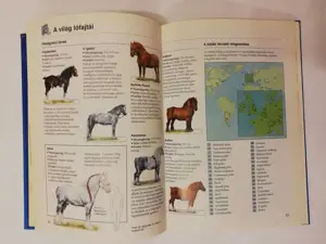 Lovak és pónik - Képes enciklopédiája - kép 5