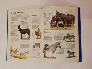 Lovak és pónik - Képes enciklopédiája - kép 6