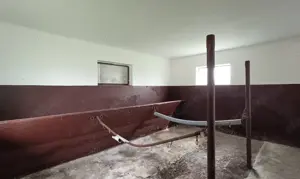 Vállalkozóknak és lókedvelőknek sokoldalú tanya eladó főút mellett! - kép 8