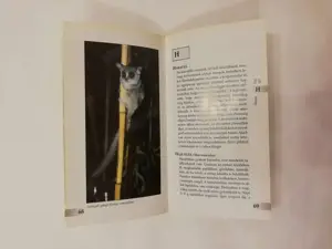 Kisemlős lexikon - kép 3