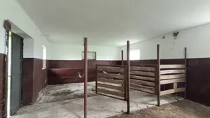 Vállalkozóknak és lókedvelőknek sokoldalú tanya eladó főút mellett! - kép 10