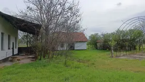 Vállalkozóknak és lókedvelőknek sokoldalú tanya eladó főút mellett! - kép 15