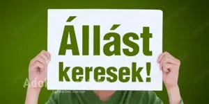 Alkalmi vagy hétvégi állást keresek! 
