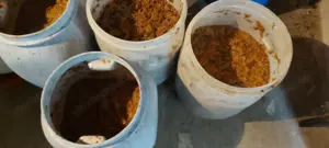 Eladó alma cefre!!  - kép 2
