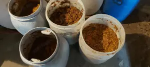 Eladó alma cefre!!  - kép 3