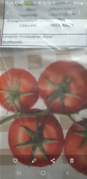 Viaszod vászon asztalterítők