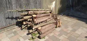 ingyen elvihető tüzifa