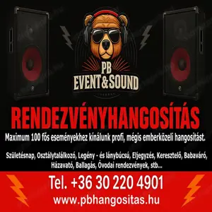 Kisebb rendezvények hangosítása