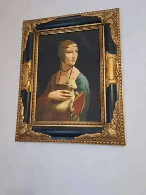 festmeny repridukció