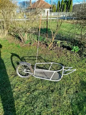 Két MTB kerékpár és egy kerékpár utánfutó eladó  - kép 3