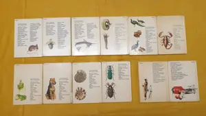 Búvár és Kolibri zsebkönyvek eladók - kép 6