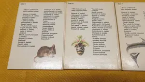Búvár és Kolibri zsebkönyvek eladók - kép 7