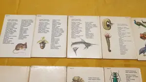Búvár és Kolibri zsebkönyvek eladók - kép 13