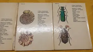 Búvár és Kolibri zsebkönyvek eladók - kép 11
