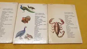 Búvár és Kolibri zsebkönyvek eladók - kép 12