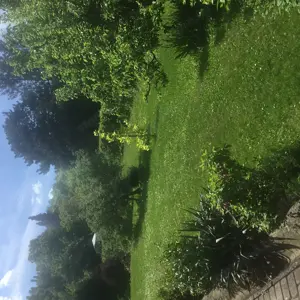 Eladó panorámás ikerház fél - kép 5