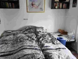 Siófok belvárosában, 103. nm-es családi ház, + 3. db. Apartman eladó, 550 méterre a Balatontól! - kép 3