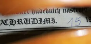 Ladislav F Prokop hegedű 3 4 méret hiányos. Cseh mestermunka - kép 4