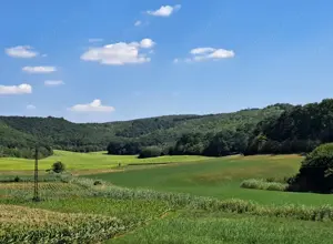 Örökpanorámás családi ház eladó Pencen - kép 6