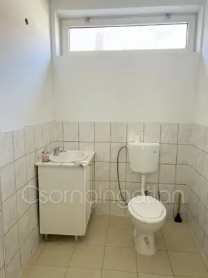 Szany - 5 szoba nappalis ház eladó - kép 8