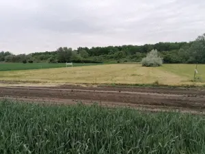 Szántó eladó Szőreg-Újszentiván határán