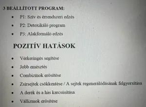 Vibrációs tréner, izomstimuláló fitness és rehabilitációs segédeszköz - kép 5