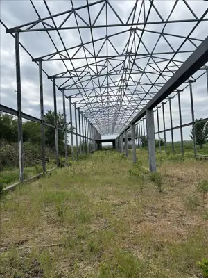 Eladó mezőgazdasági ingatlan Csabaszabadiban Csarnok vázszerkezettel