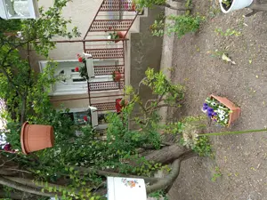 Kertes családi ház eladó.  - kép 4