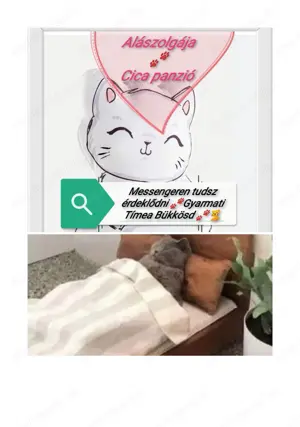 Cica panzió 