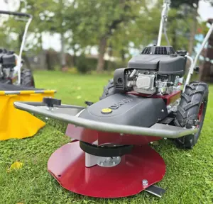 6,5 LE-S Dakr Tekton L196 magasgaz-kaszáló ipari kivitelű önjáró gép. Ár: 350.000 Ft.+Áfa - kép 8