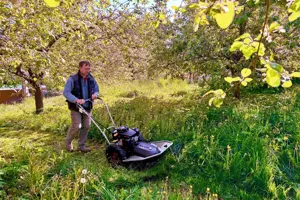 6,5 LE-S Dakr Tekton L196 magasgaz-kaszáló ipari kivitelű önjáró gép. Ár: 350.000 Ft.+Áfa - kép 9