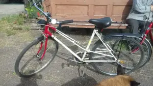 Dinamós lámpás, 28-as kerékpár eladó. - kép 2