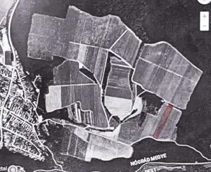 Eladó 11.700 m2-es szőlő ültetvény Szendehelyen.  - kép 7